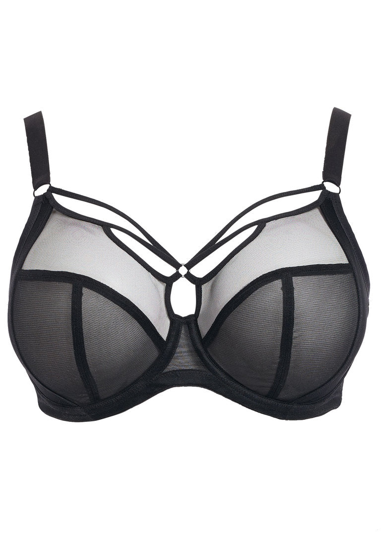 Sachi Plunge Bra Black | Elomi