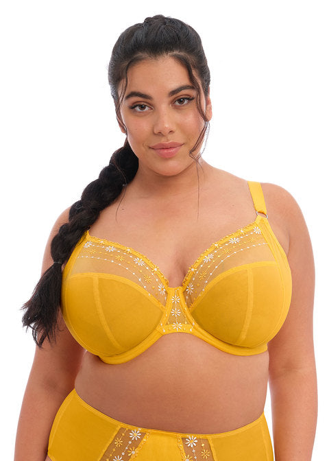 Matilda Daisy Uw Plunge Bra